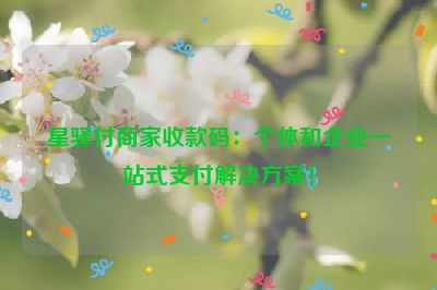 星驿付商家收款码：个体和企业一站式支付解决方案！