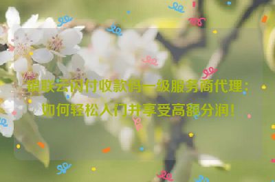 银联云闪付收款码一级服务商代理：如何轻松入门并享受高额分润！