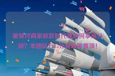 星驿付商家收款码代理如何享高分润？本团队万15分润政策置顶！