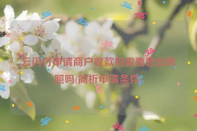 云闪付申请商户收款码需要营业执照吗(简析申请条件)