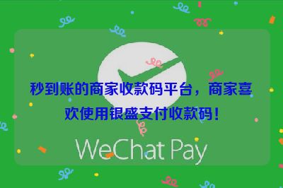 秒到账的商家收款码平台，商家喜欢使用银盛支付收款码！